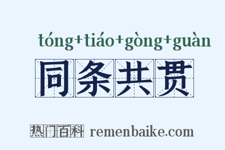 同条共贯是什么意思的图片